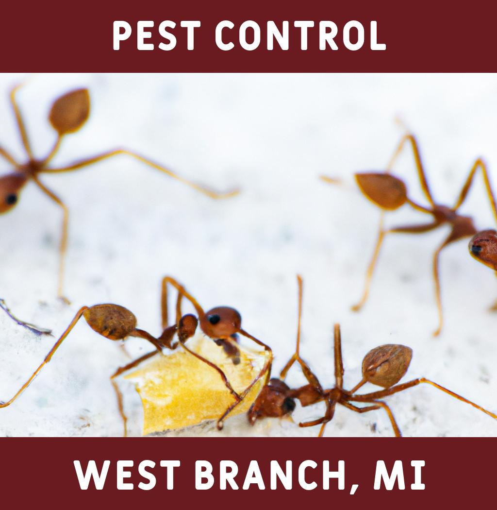 pest control in West Branch Michigan