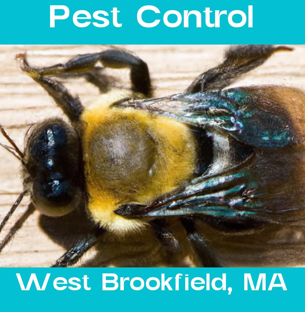 pest control in West Brookfield Massachusetts
