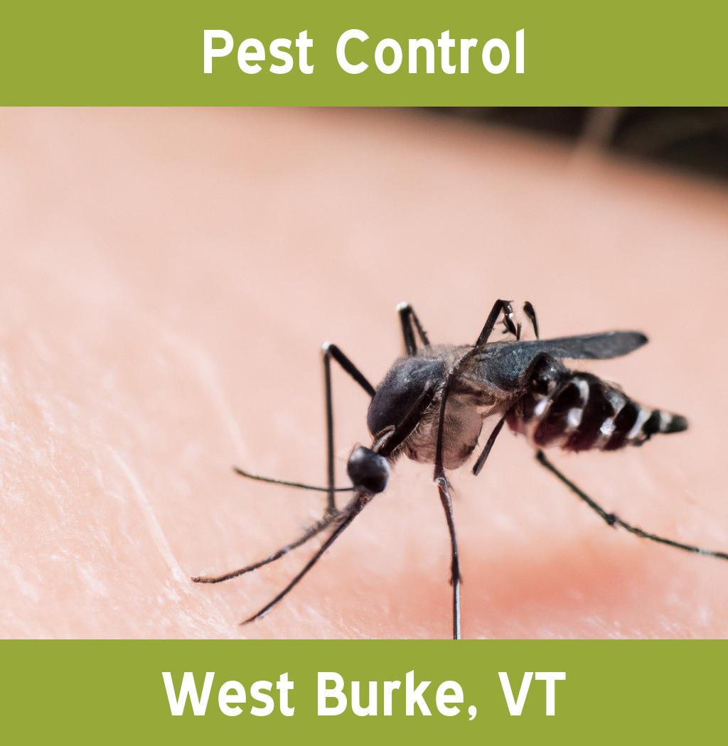 pest control in West Burke Vermont