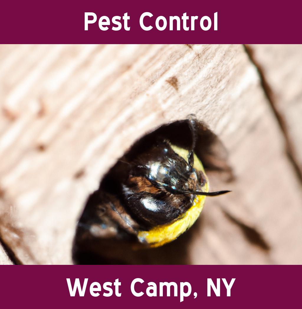 pest control in West Camp New York