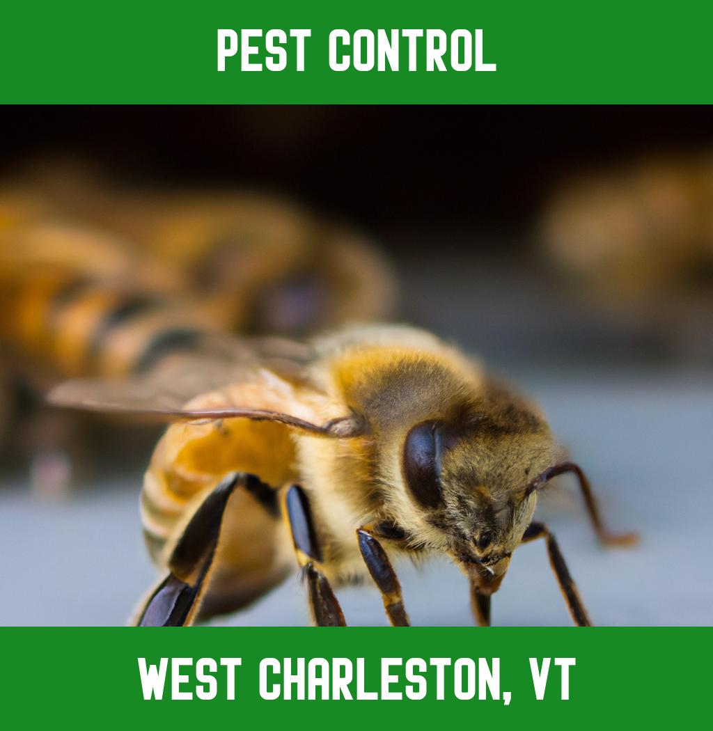 pest control in West Charleston Vermont
