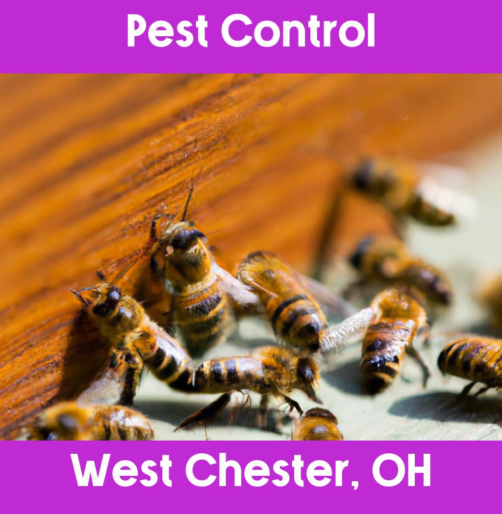 pest control in West Chester Ohio
