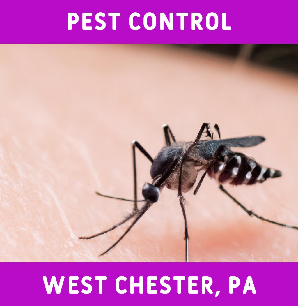 pest control in West Chester Pennsylvania