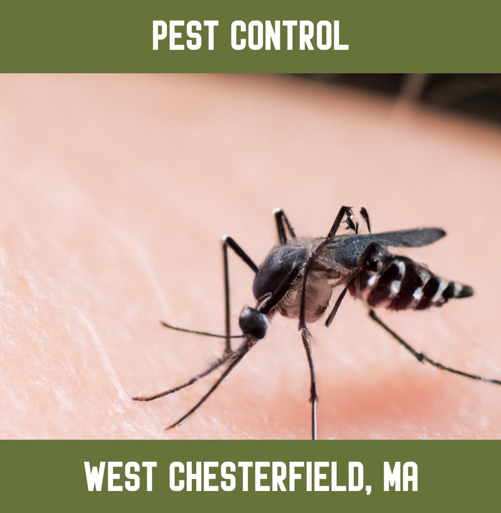 pest control in West Chesterfield Massachusetts