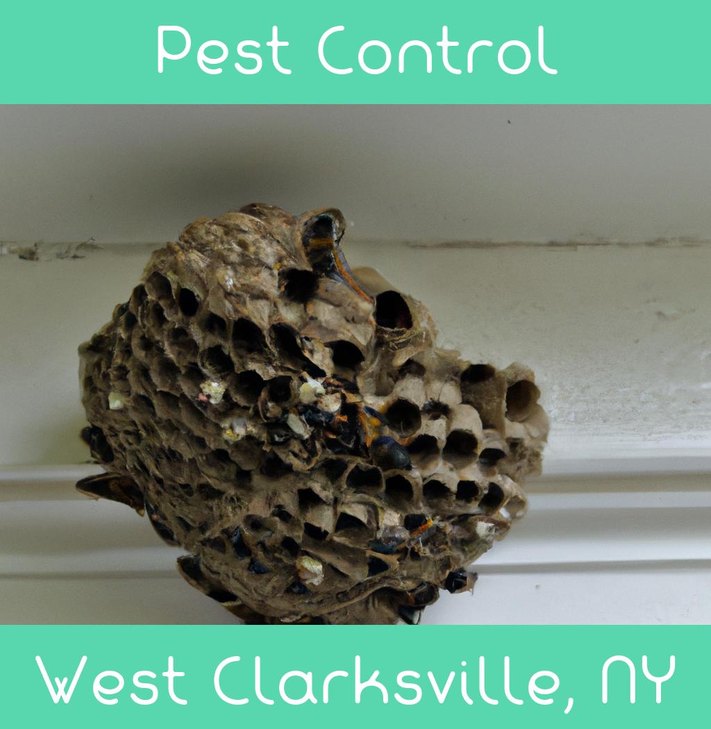 pest control in West Clarksville New York