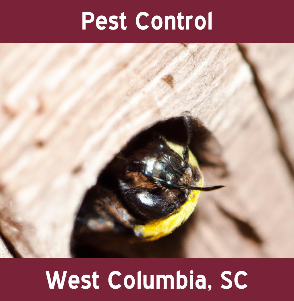 pest control in West Columbia South Carolina