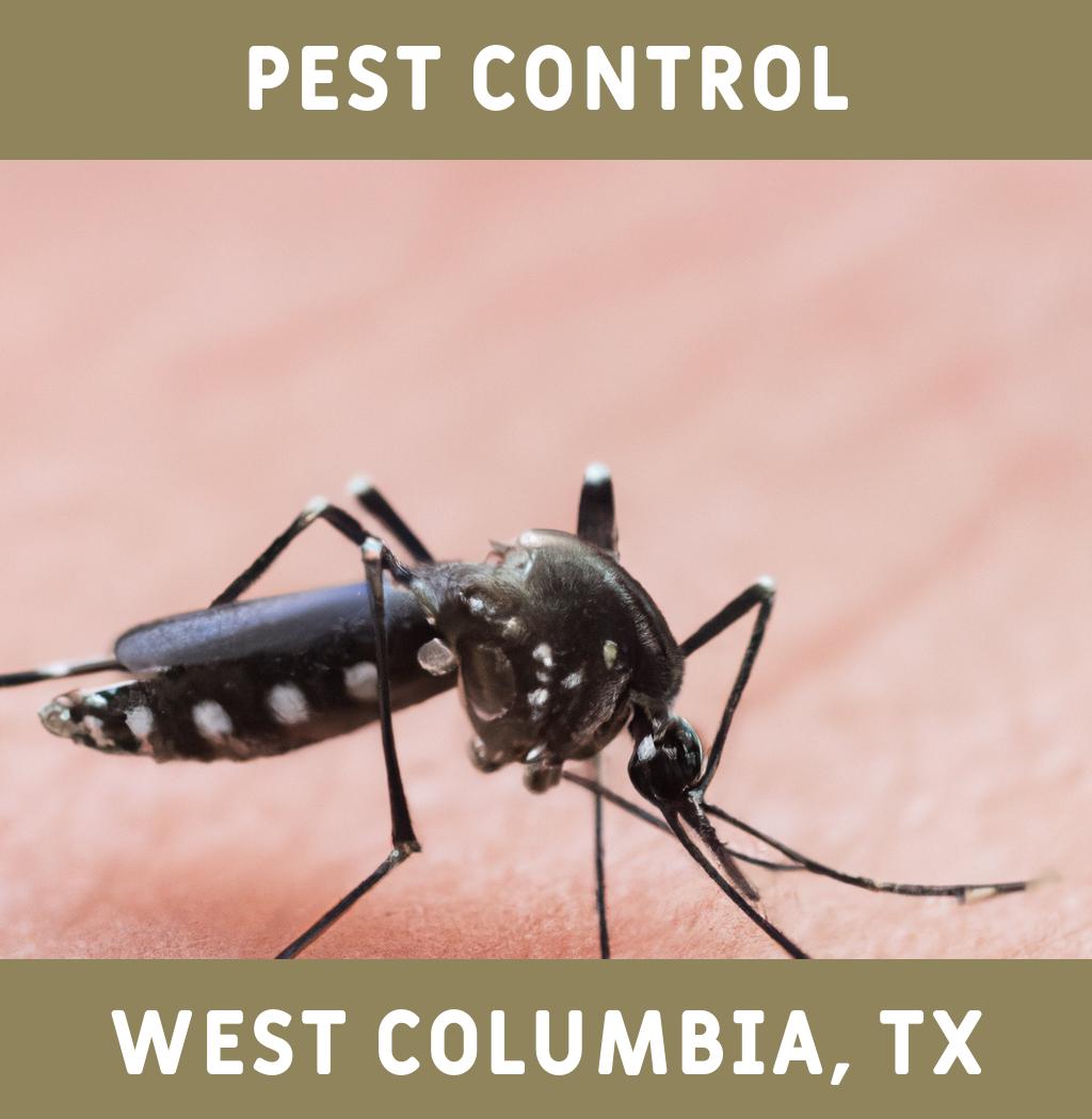 pest control in West Columbia Texas