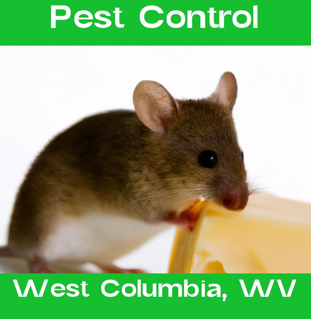 pest control in West Columbia West Virginia