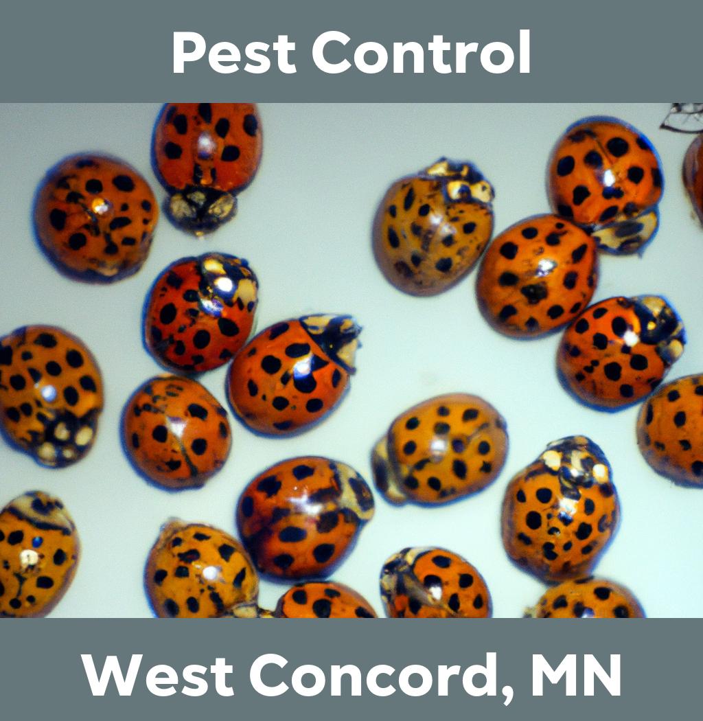 pest control in West Concord Minnesota