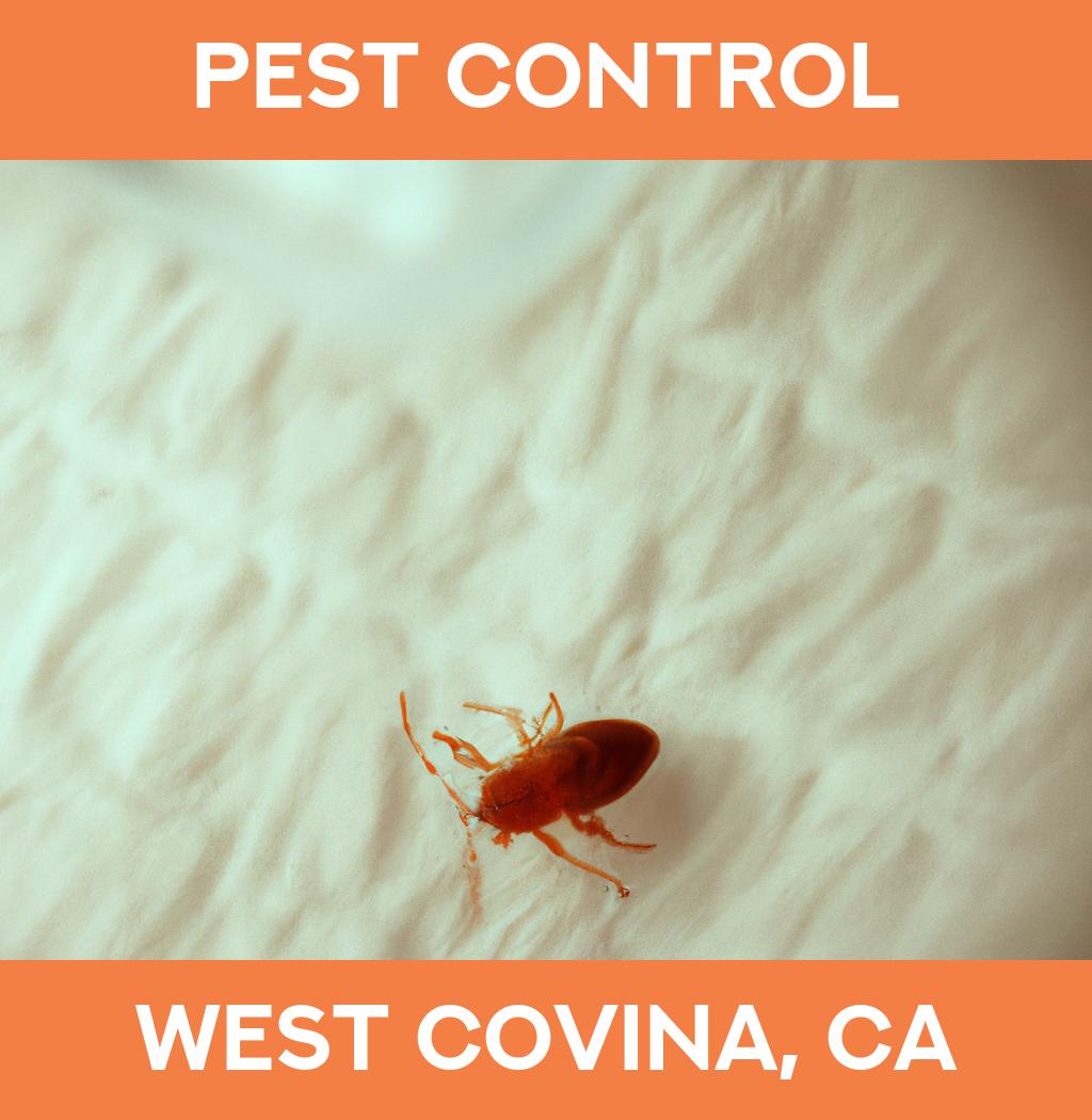 pest control in West Covina California