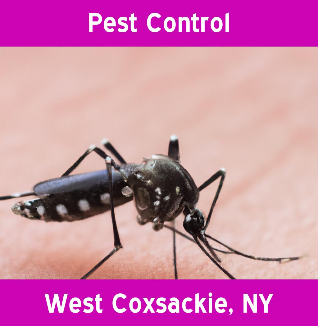 pest control in West Coxsackie New York