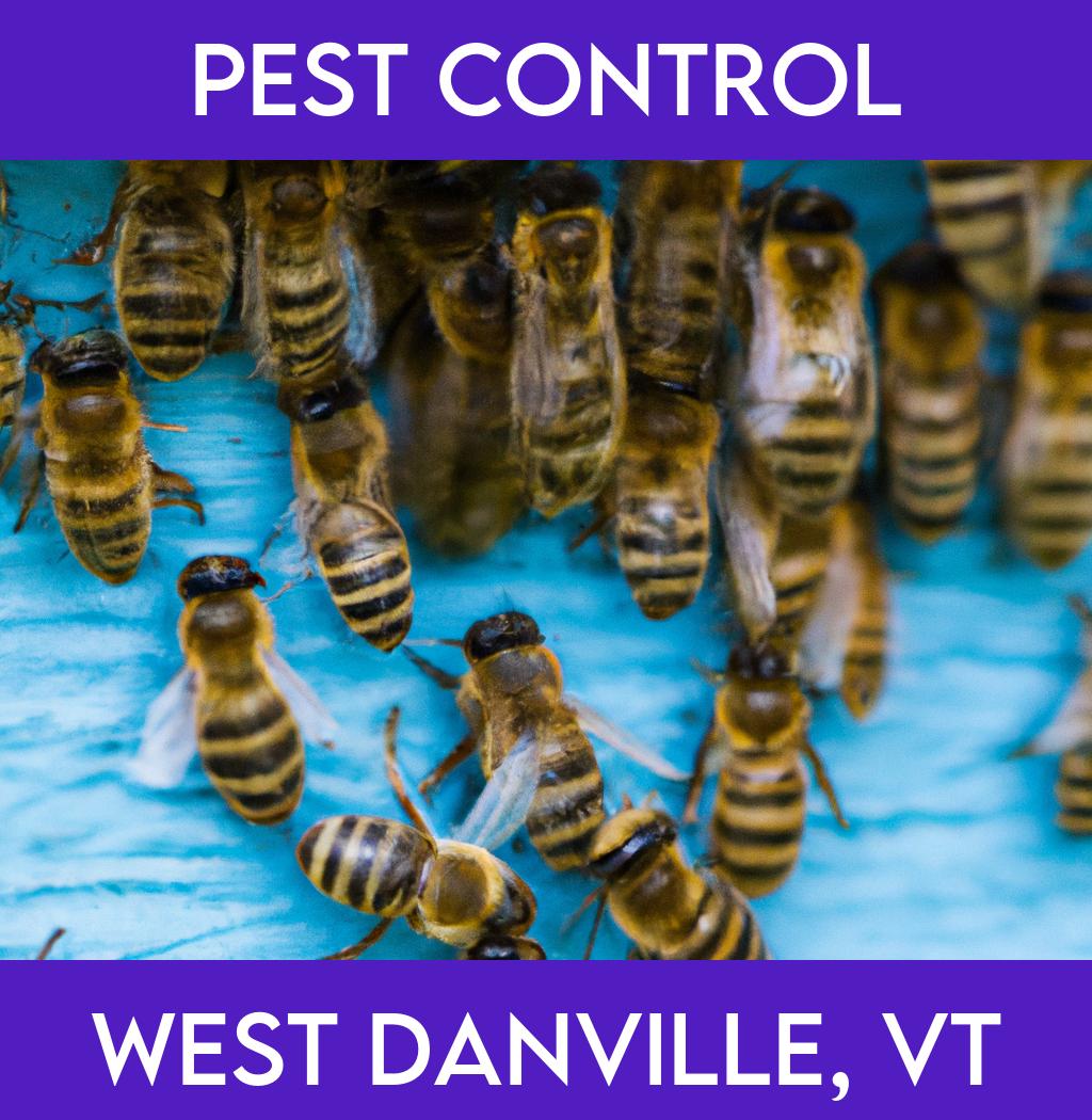 pest control in West Danville Vermont