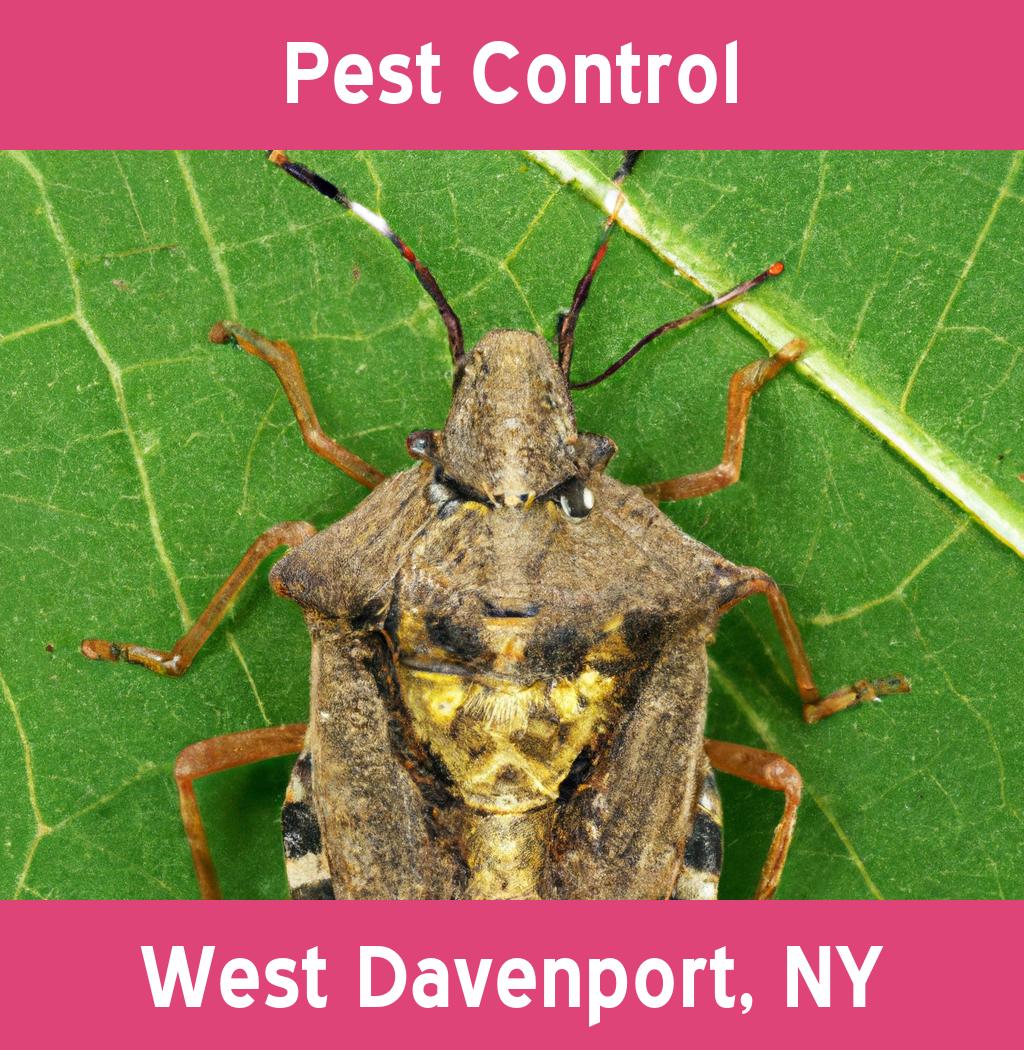 pest control in West Davenport New York