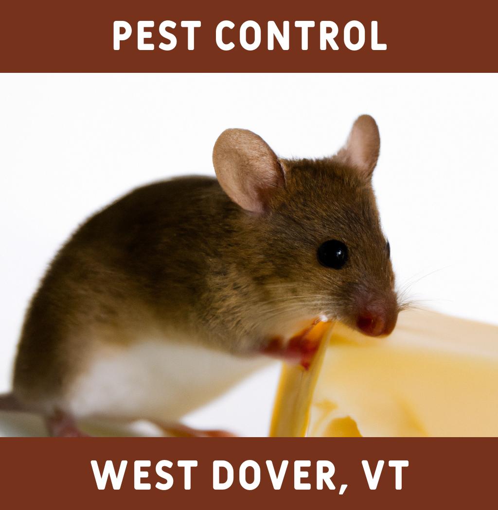 pest control in West Dover Vermont