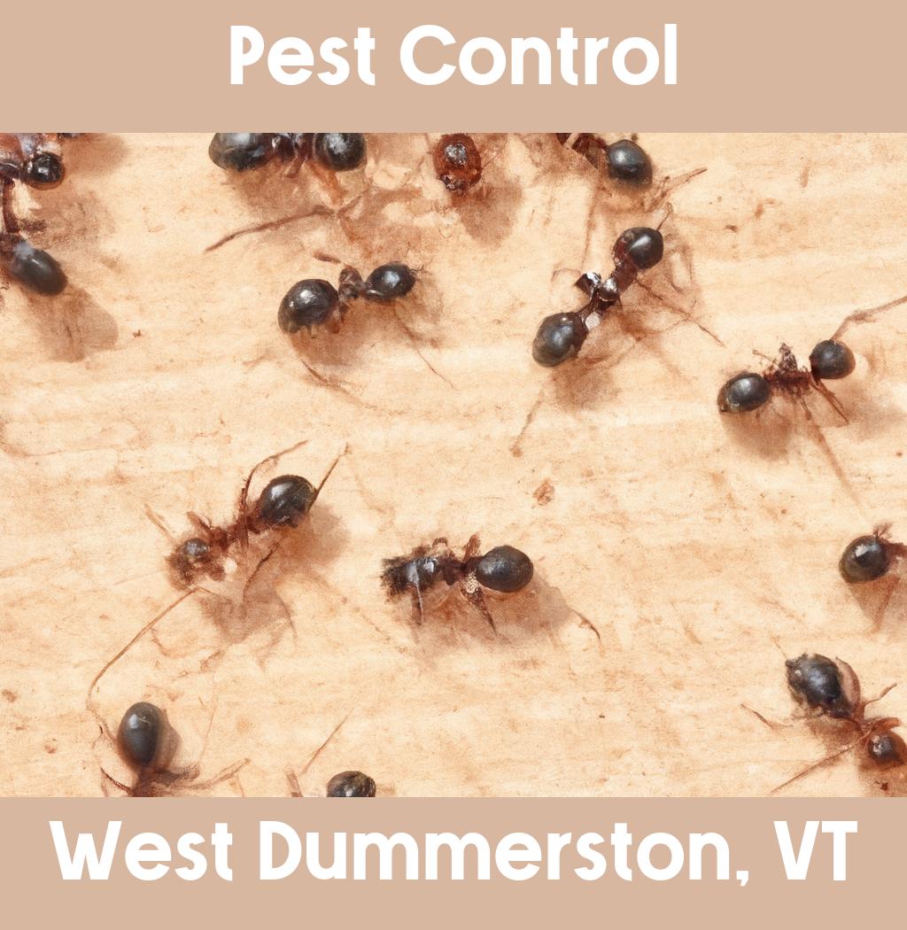 pest control in West Dummerston Vermont