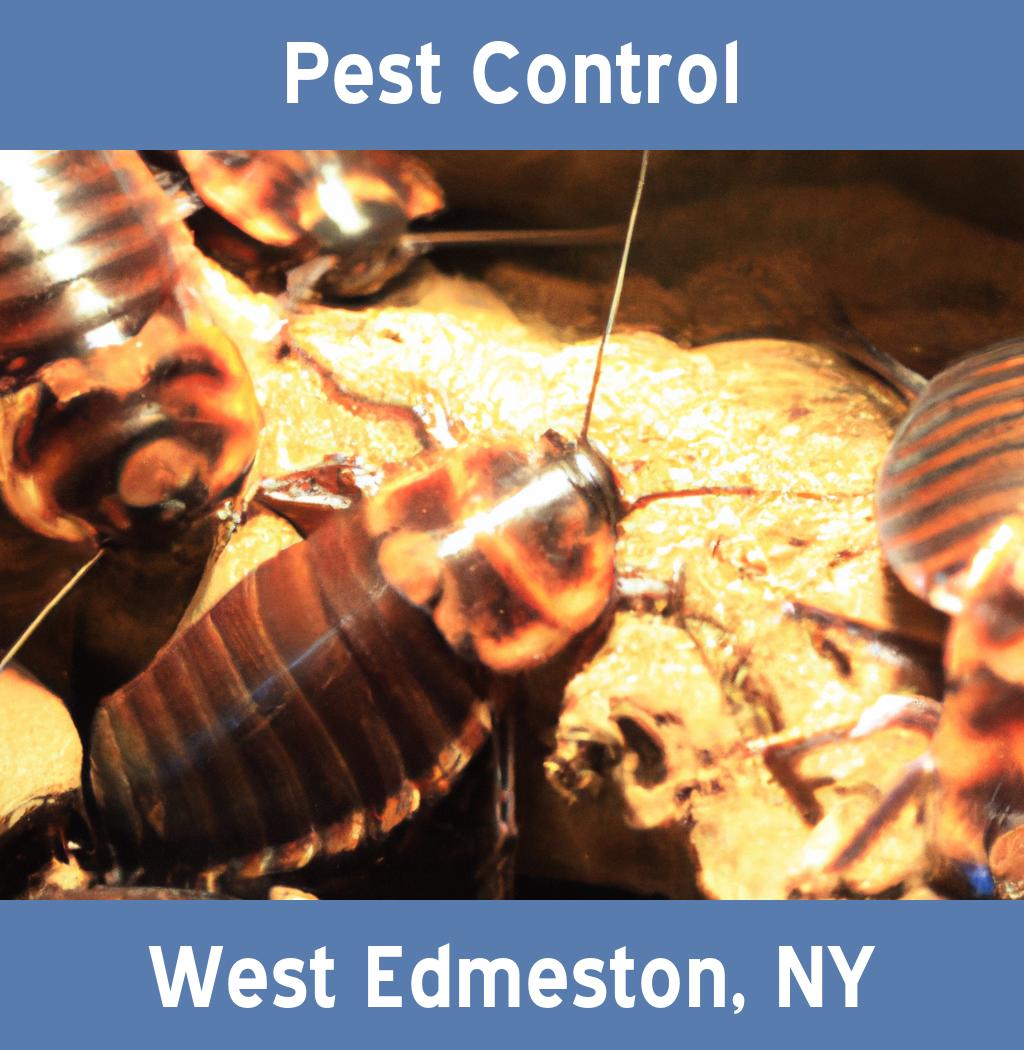 pest control in West Edmeston New York