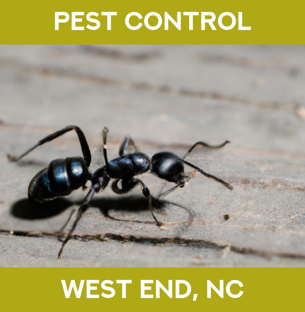 pest control in West End North Carolina