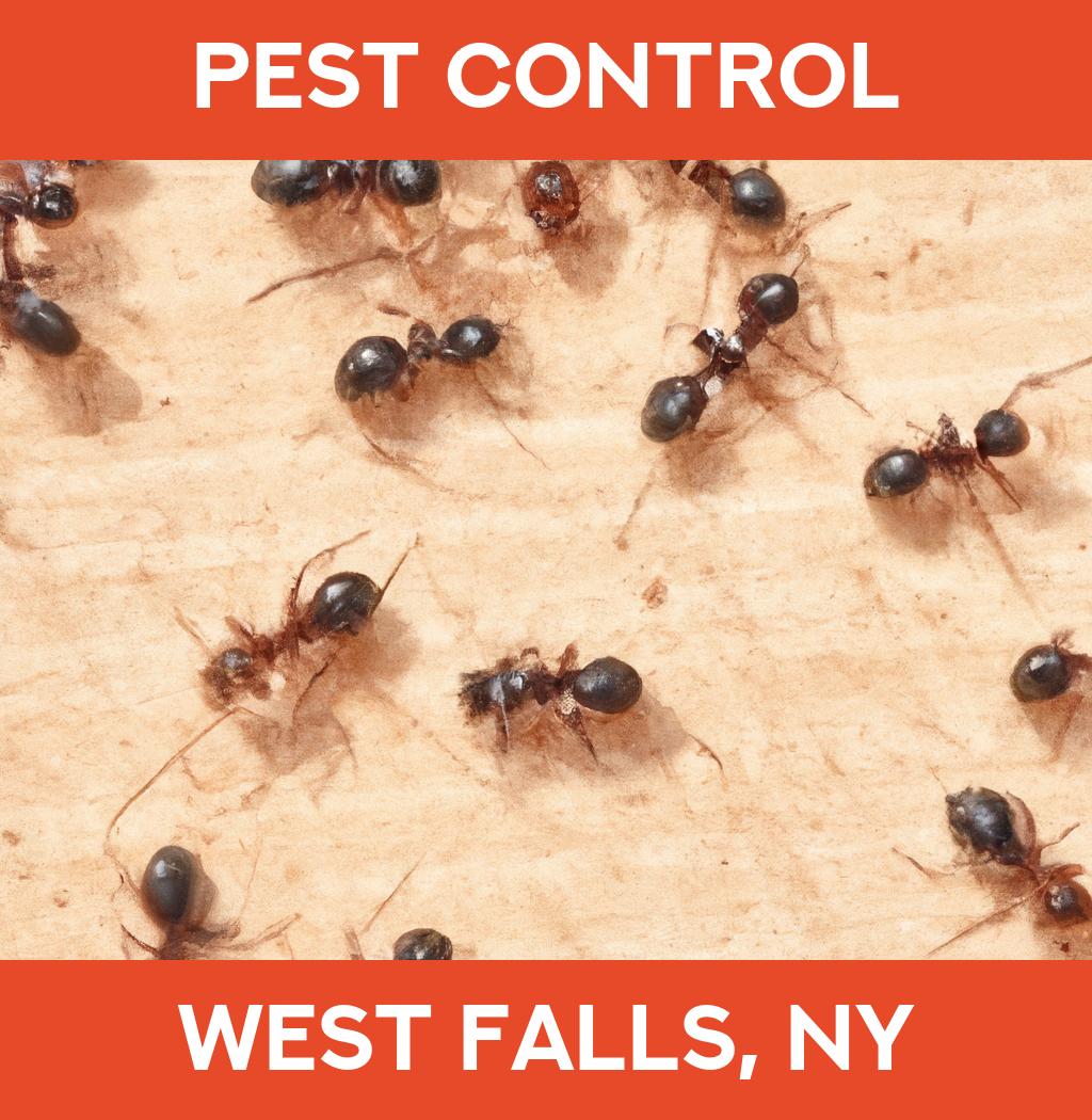 pest control in West Falls New York