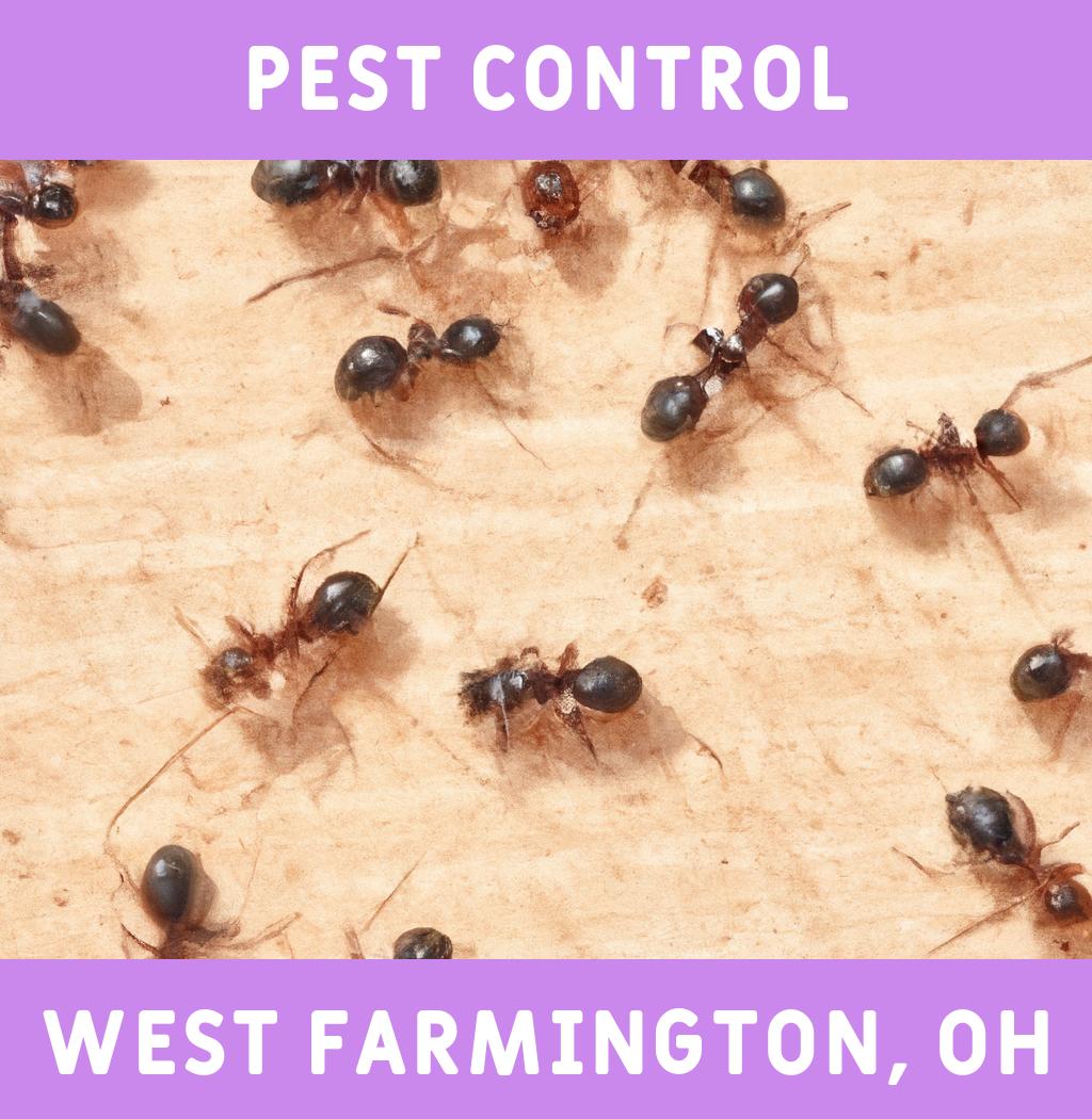 pest control in West Farmington Ohio