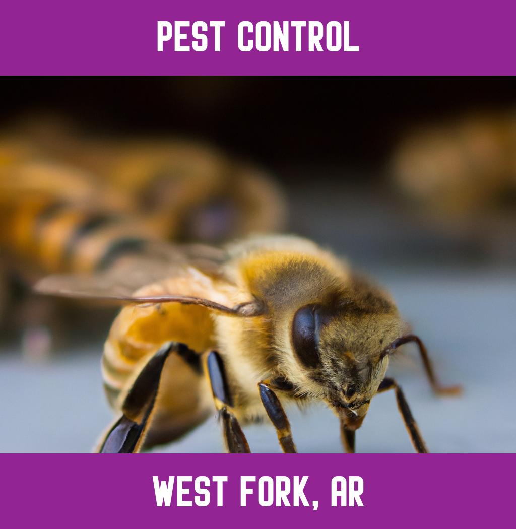 pest control in West Fork Arkansas