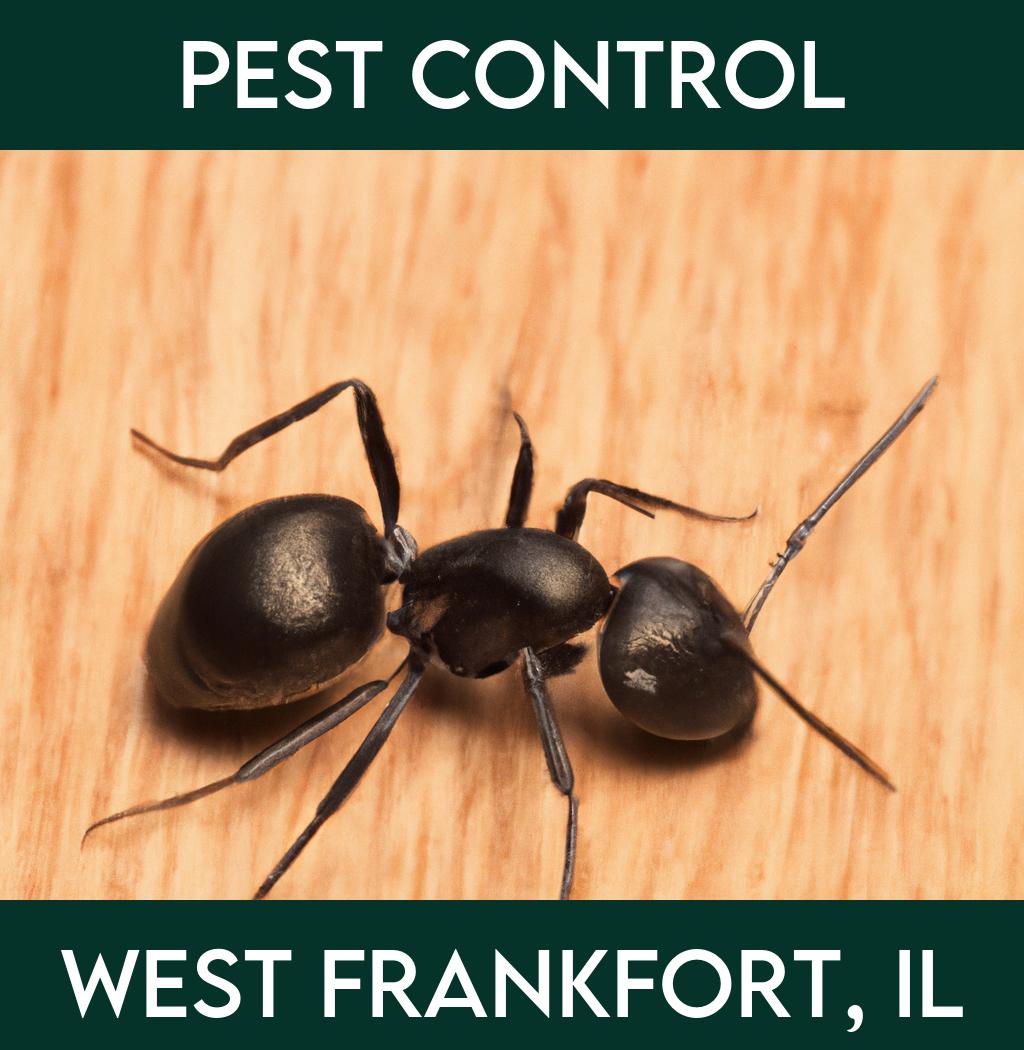 pest control in West Frankfort Illinois