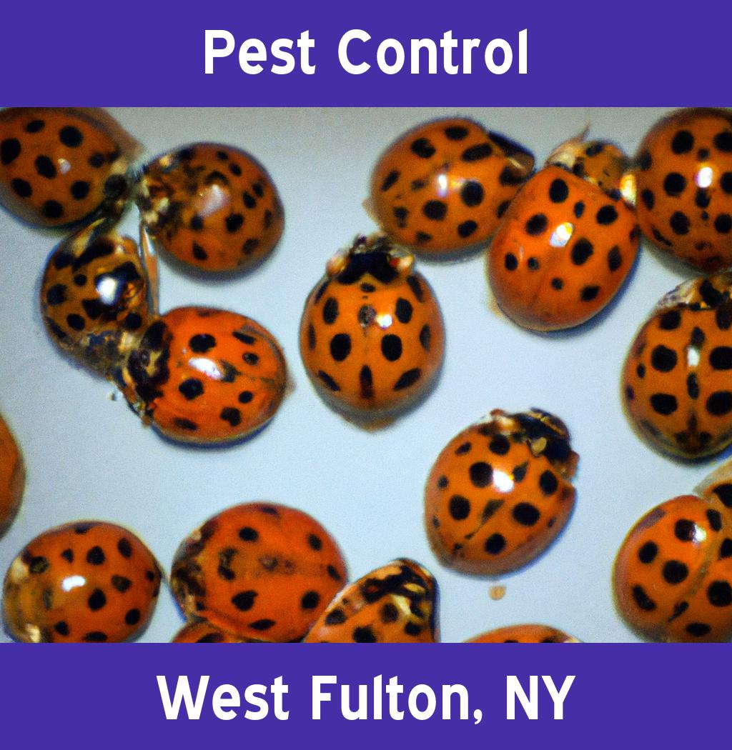 pest control in West Fulton New York