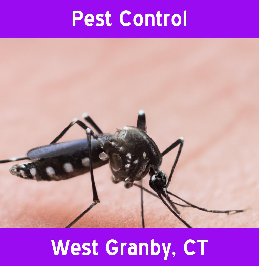 pest control in West Granby Connecticut