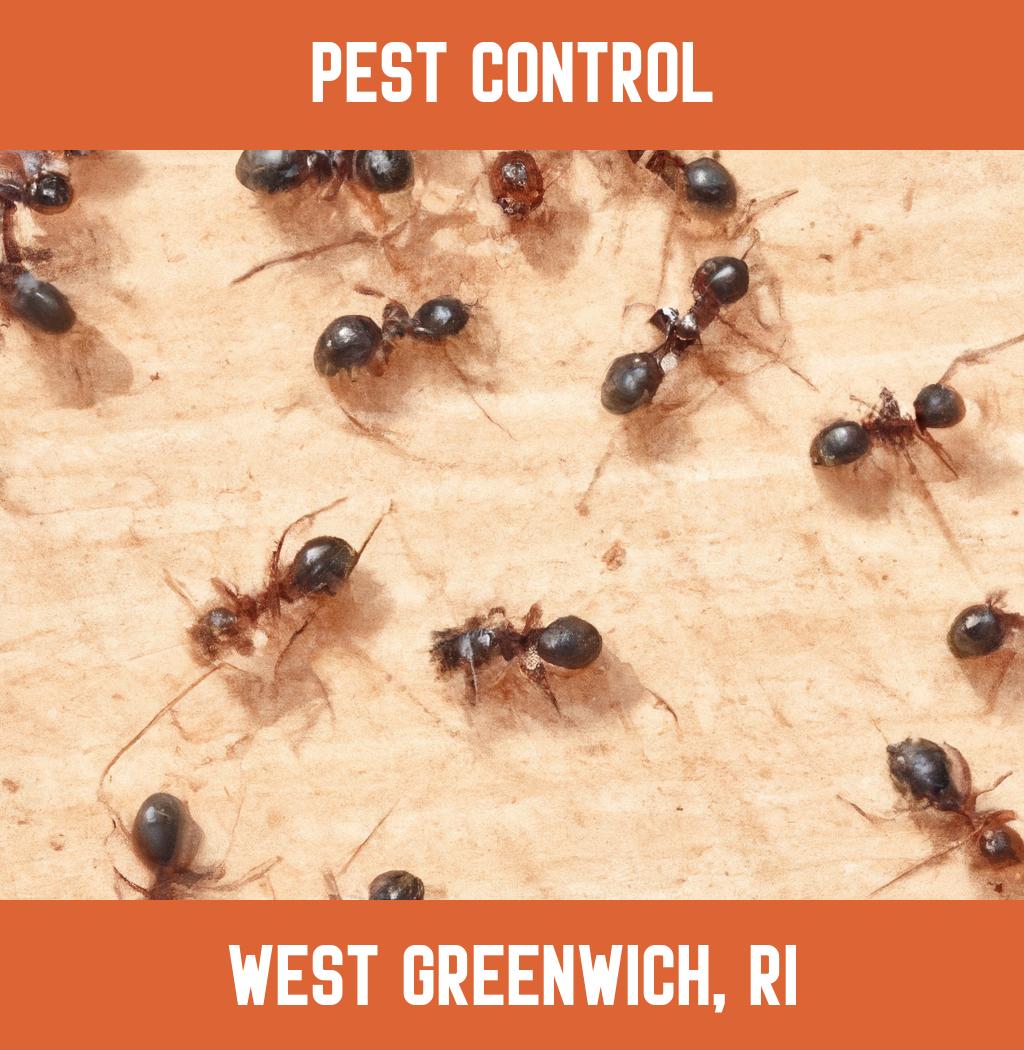 pest control in West Greenwich Rhode Island