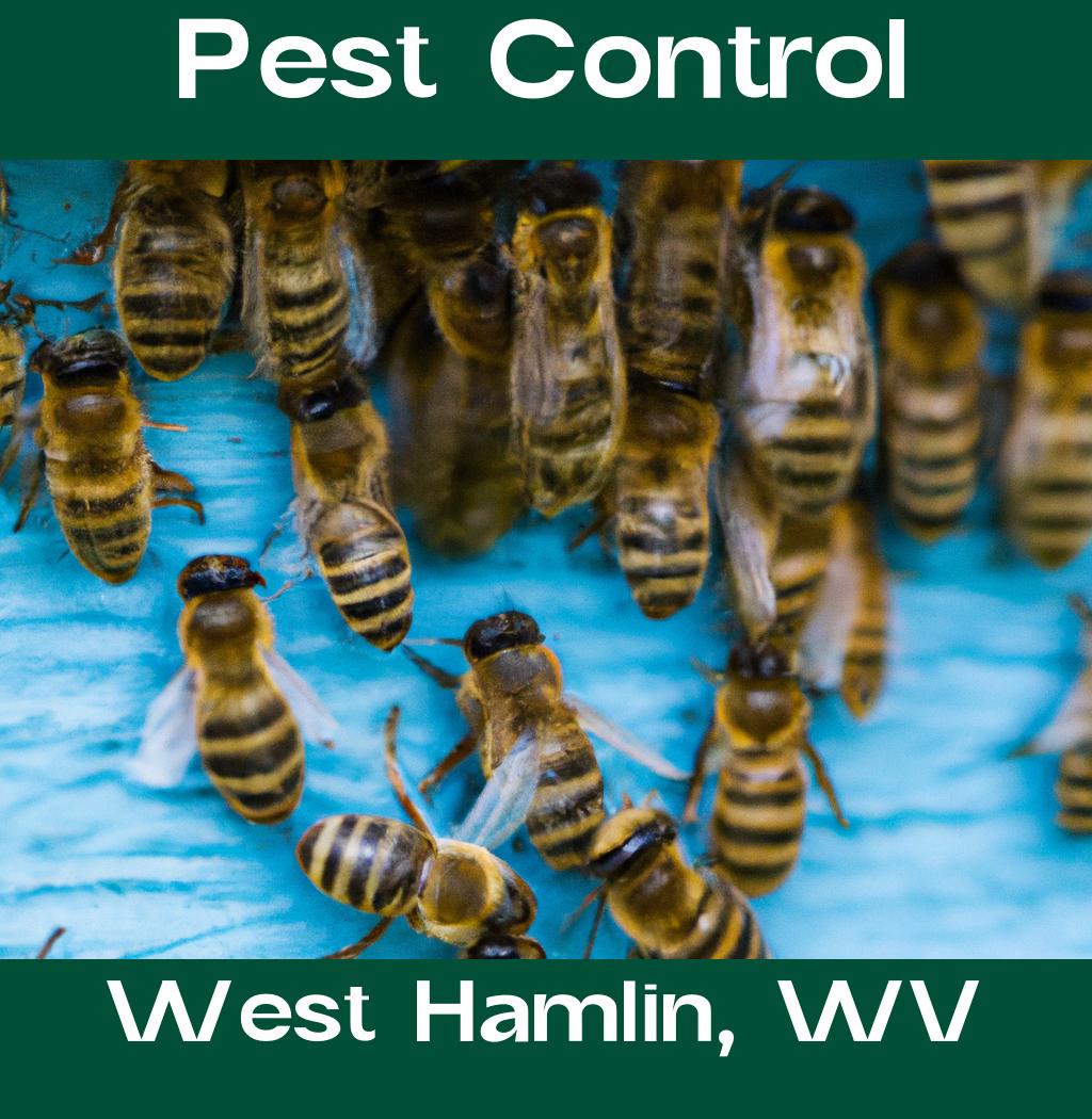 pest control in West Hamlin West Virginia