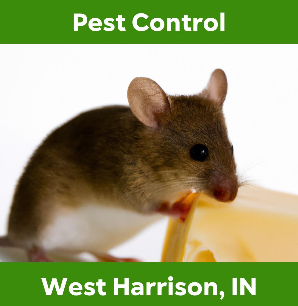 pest control in West Harrison Indiana