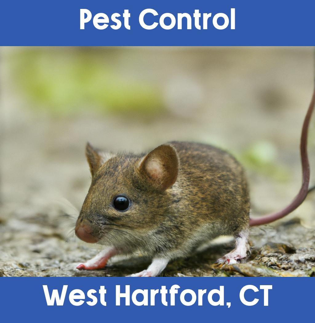 pest control in West Hartford Connecticut
