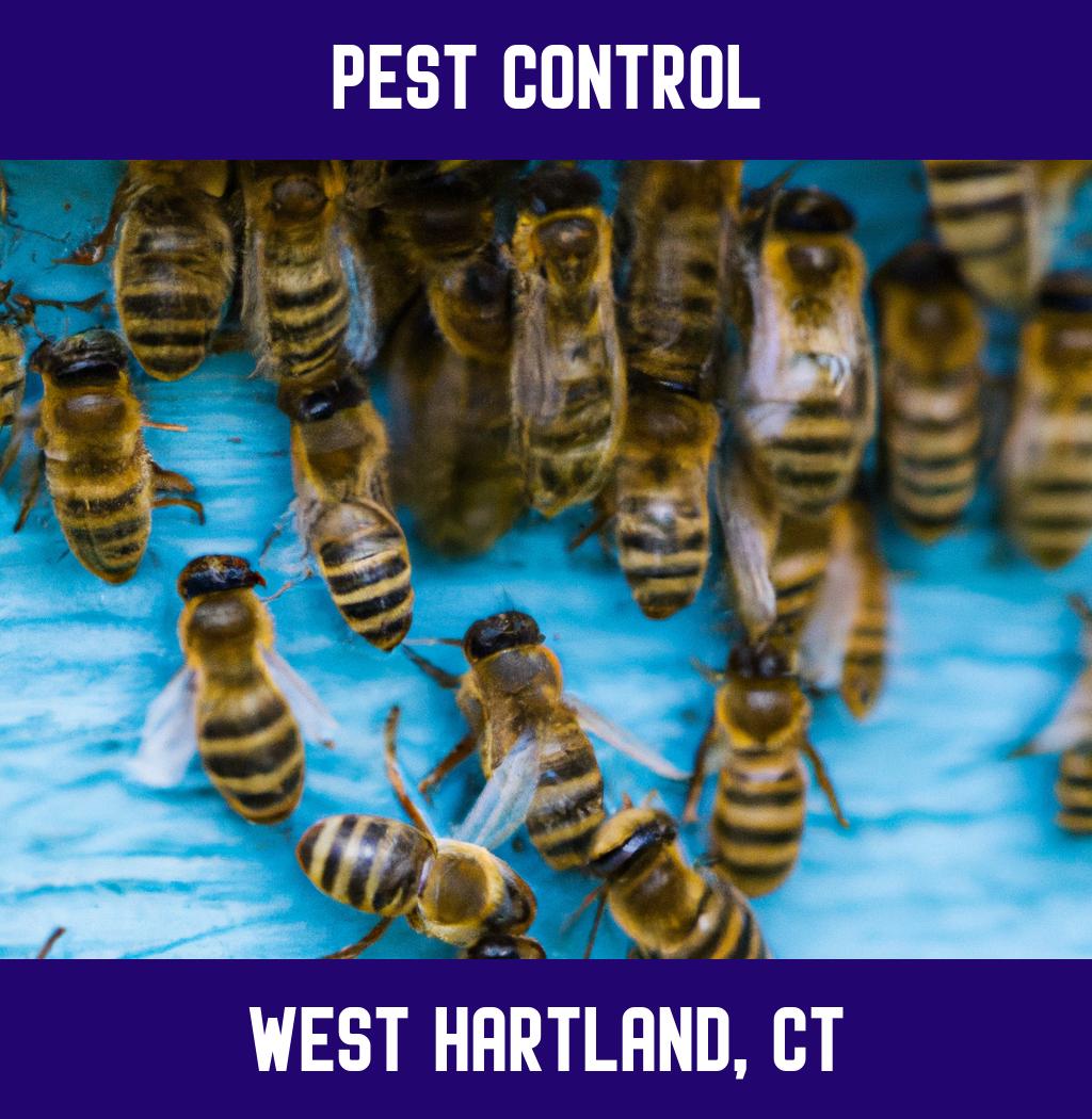pest control in West Hartland Connecticut