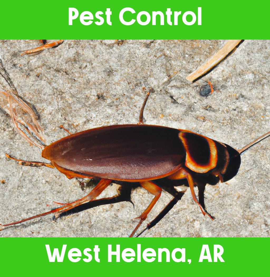 pest control in West Helena Arkansas