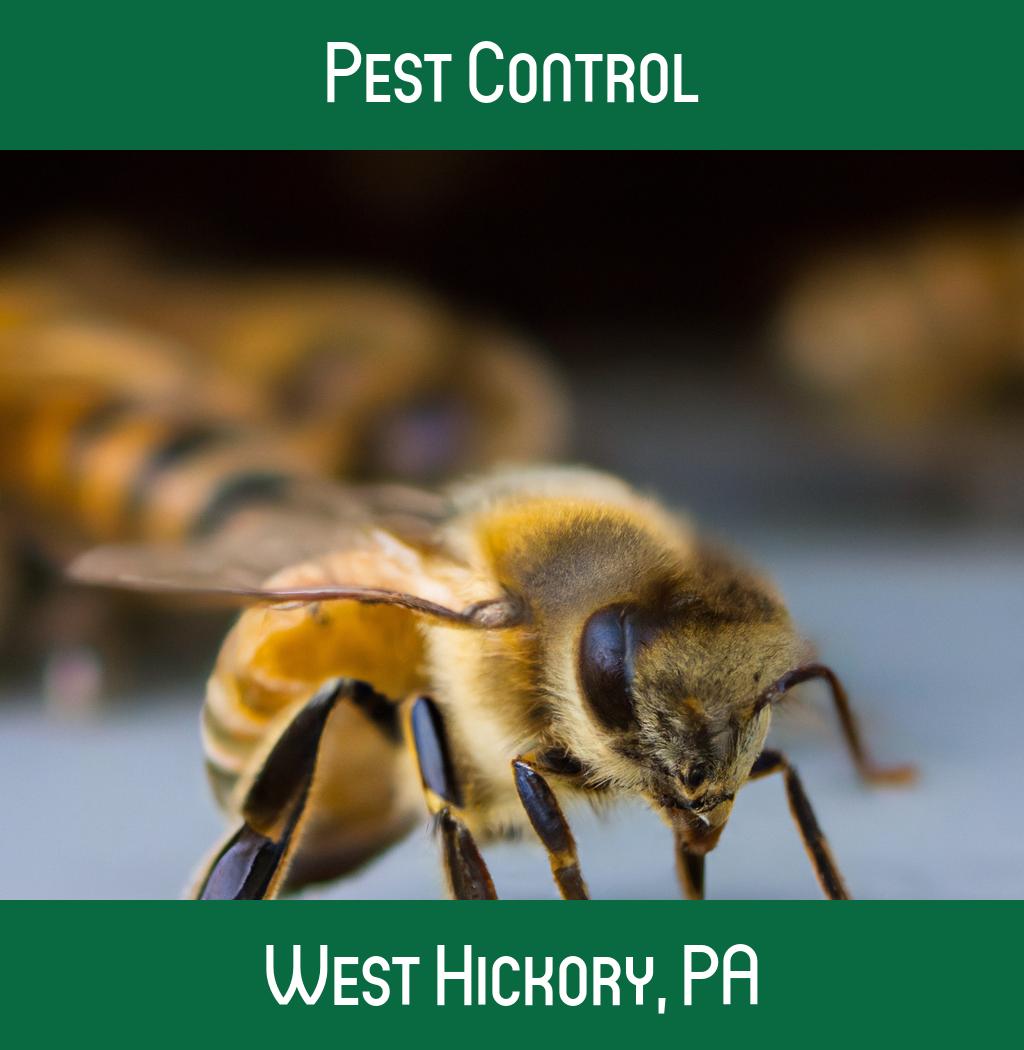 pest control in West Hickory Pennsylvania