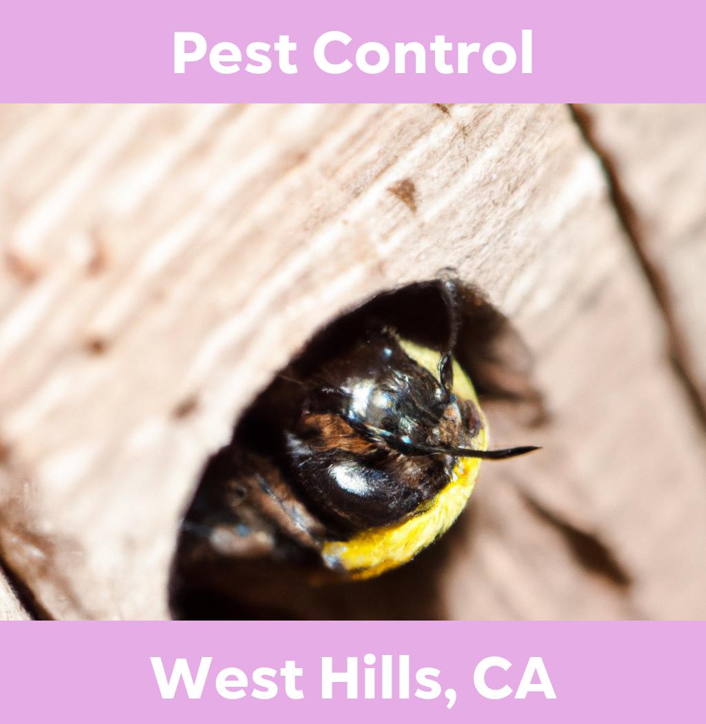 pest control in West Hills California