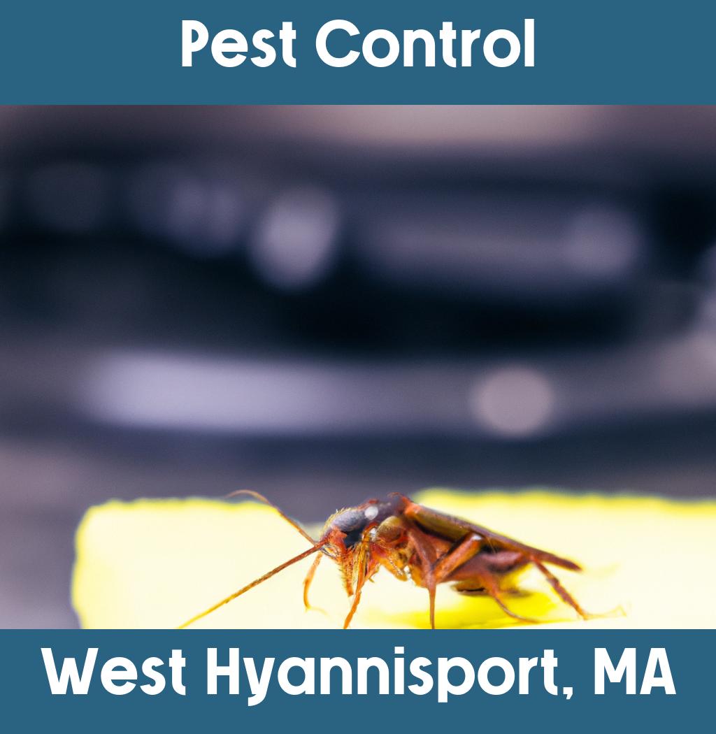 pest control in West Hyannisport Massachusetts