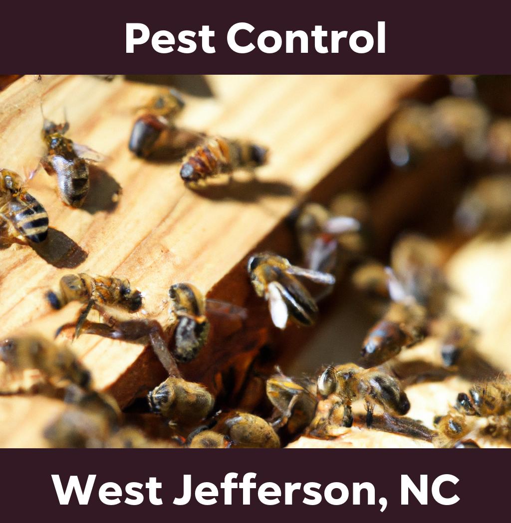 pest control in West Jefferson North Carolina