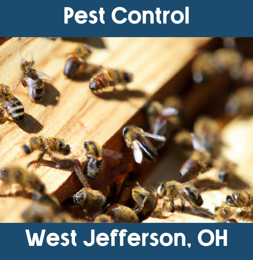 pest control in West Jefferson Ohio