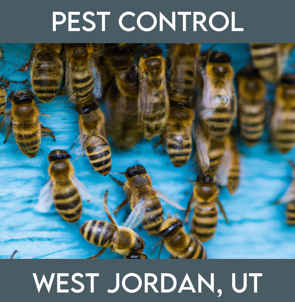 pest control in West Jordan Utah