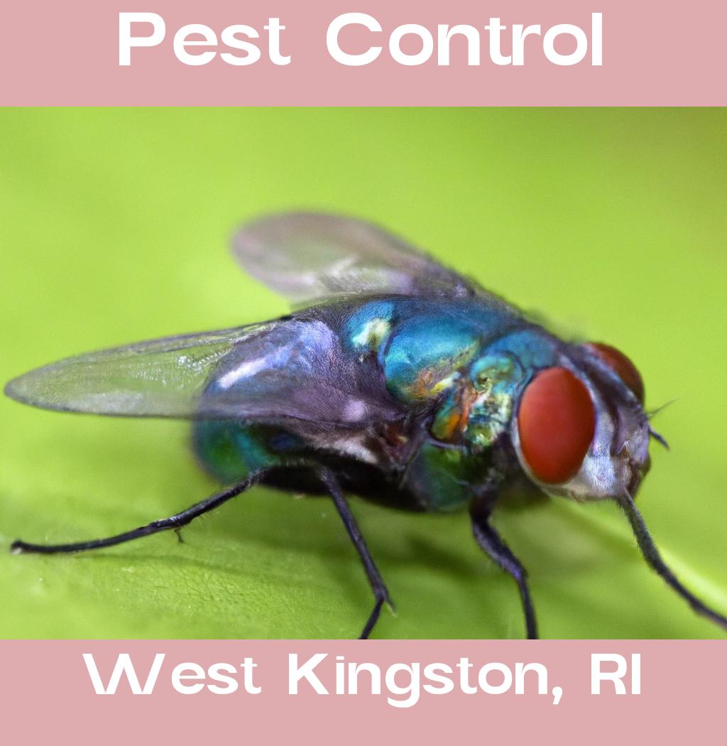 pest control in West Kingston Rhode Island