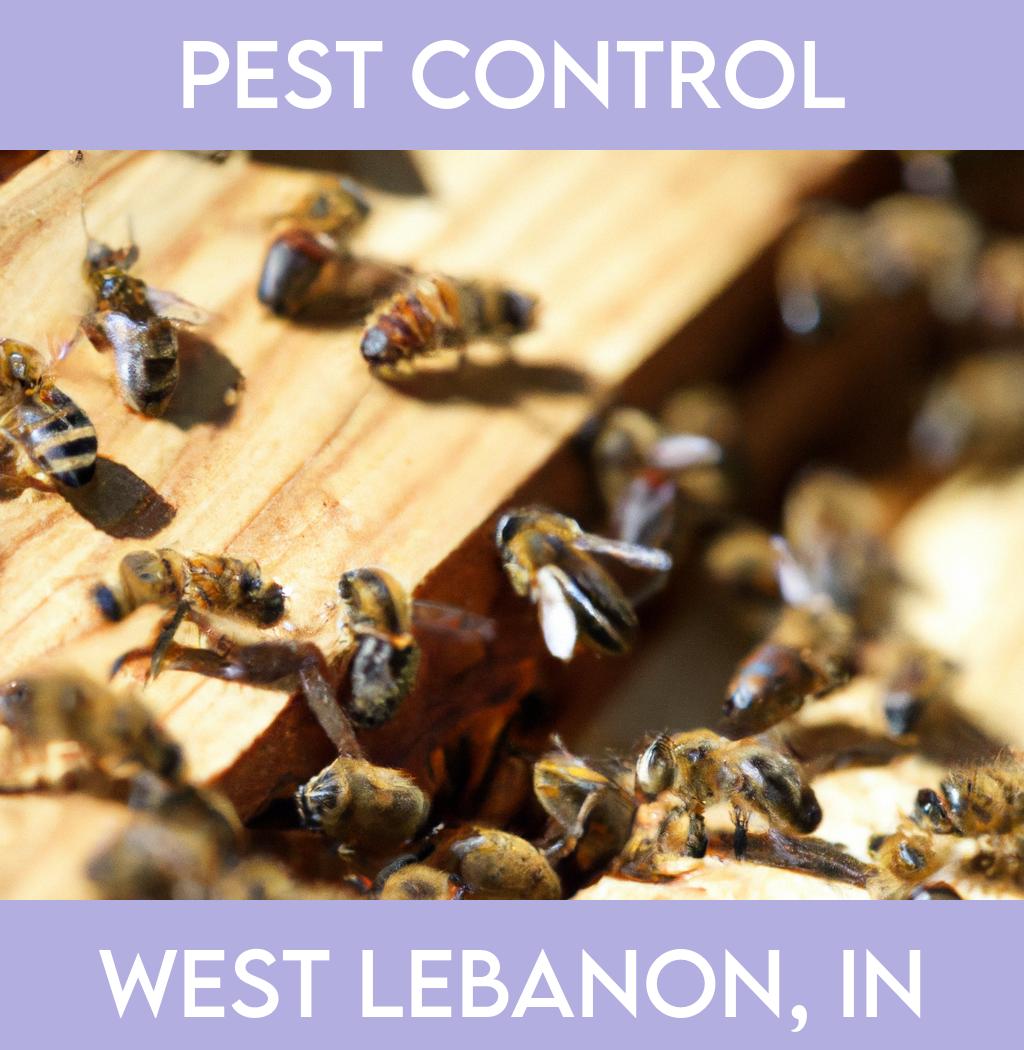pest control in West Lebanon Indiana
