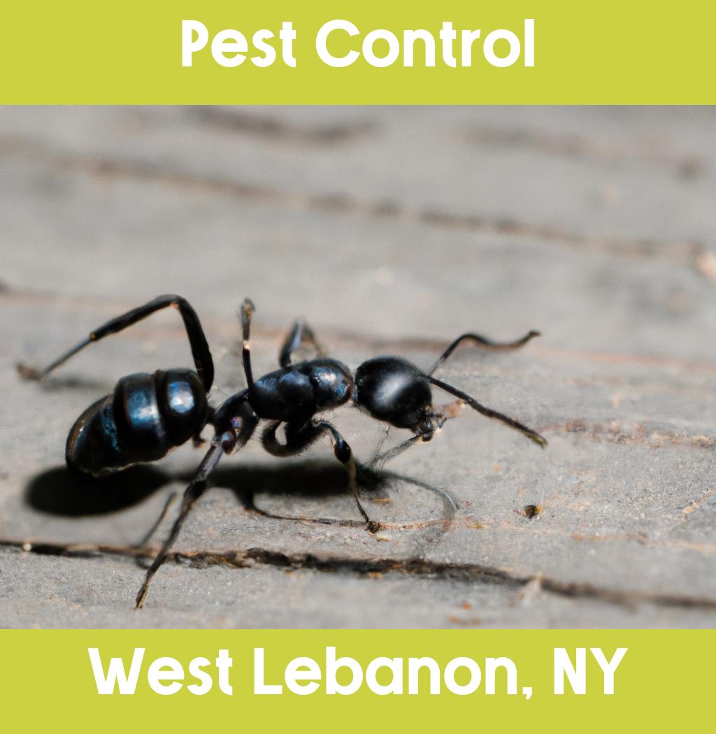 pest control in West Lebanon New York