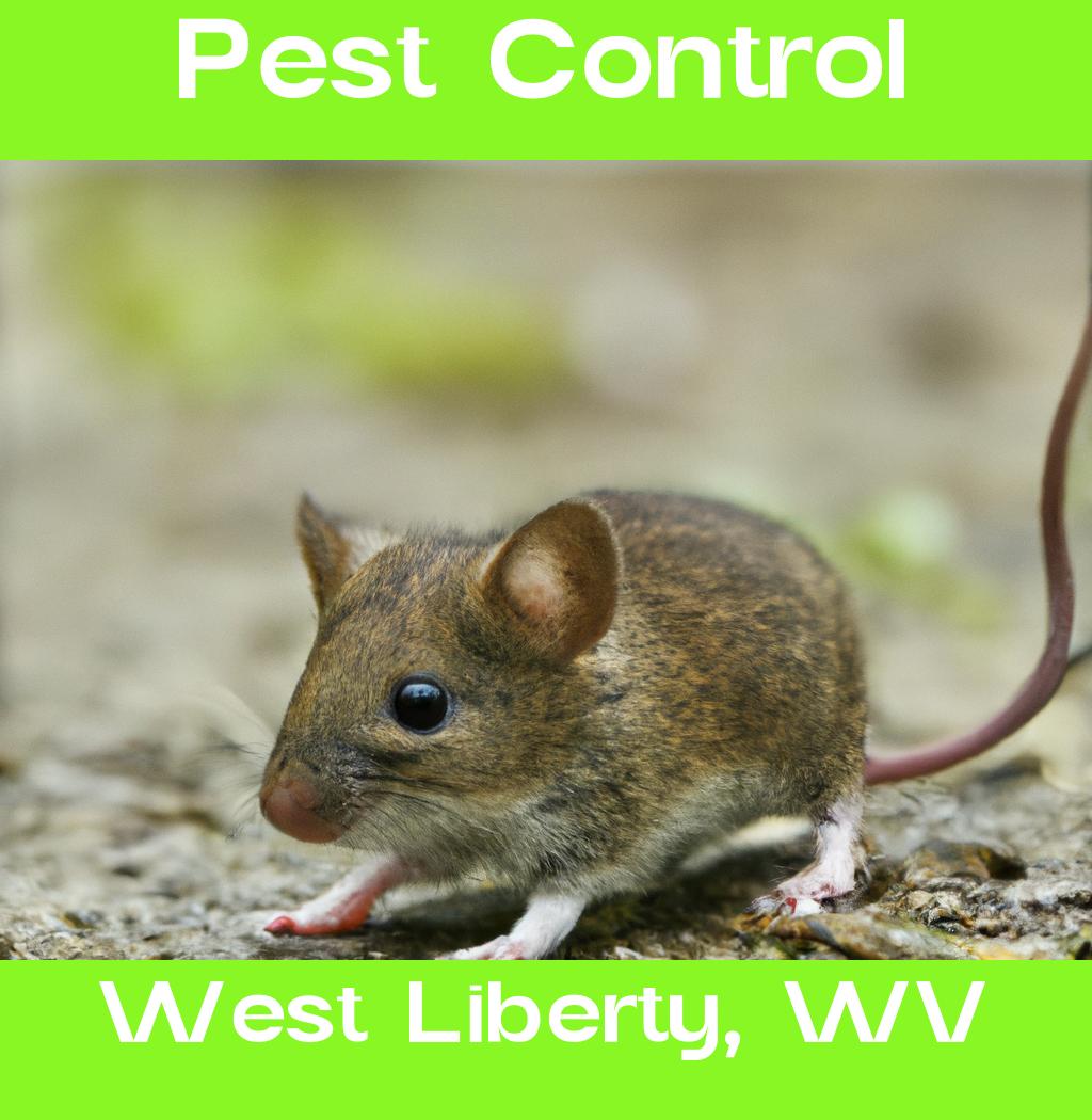 pest control in West Liberty West Virginia