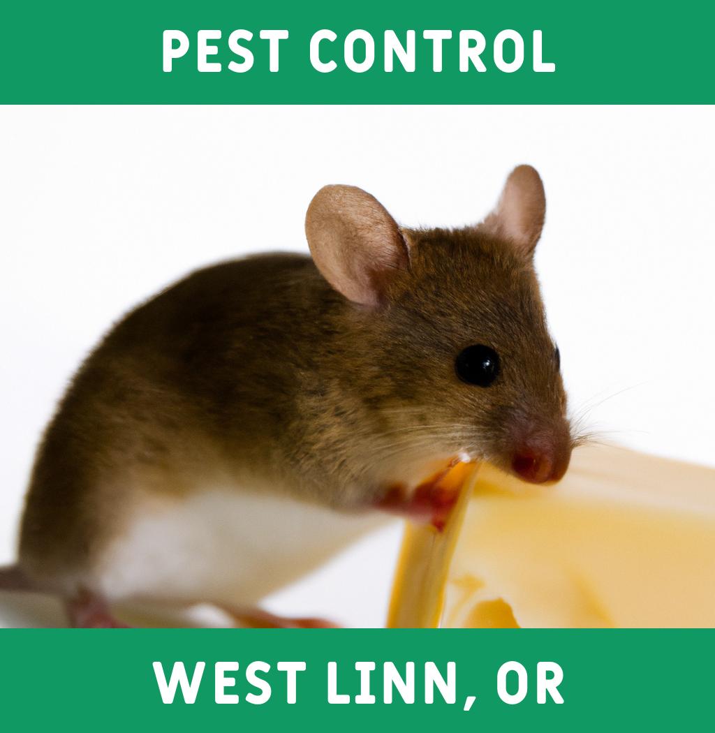 pest control in West Linn Oregon