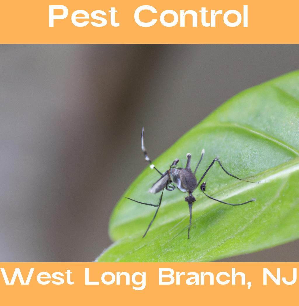 pest control in West Long Branch New Jersey