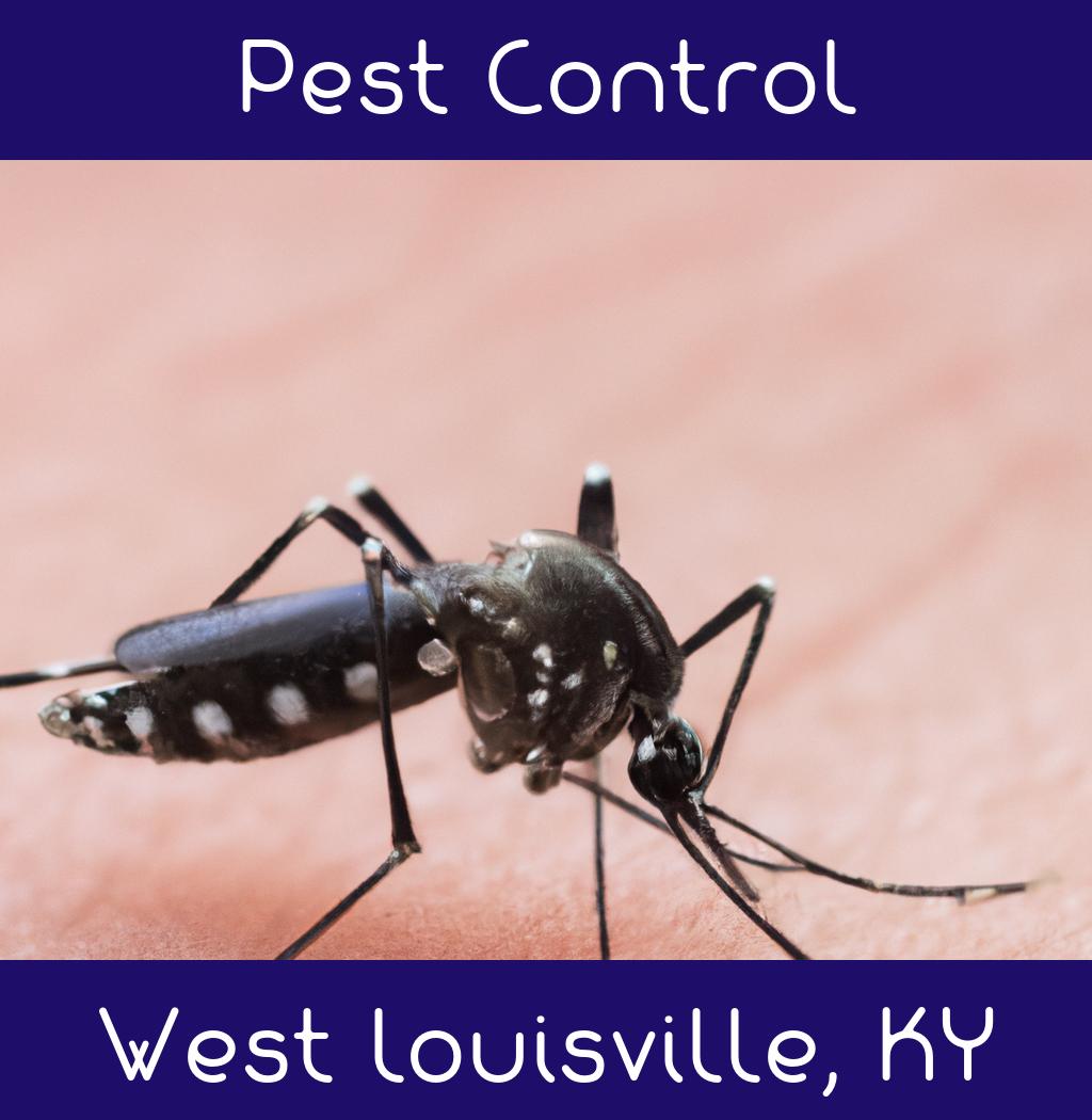 pest control in West Louisville Kentucky
