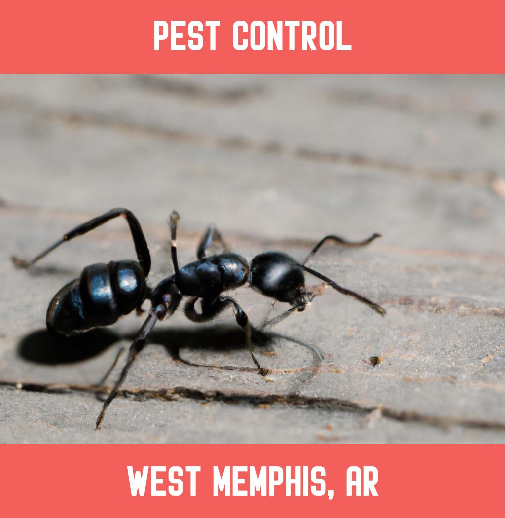 pest control in West Memphis Arkansas