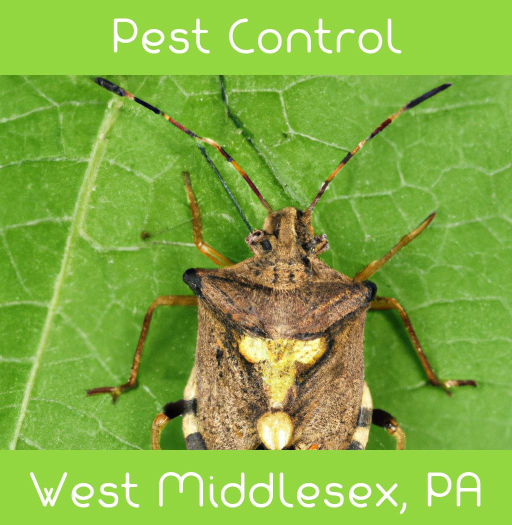 pest control in West Middlesex Pennsylvania