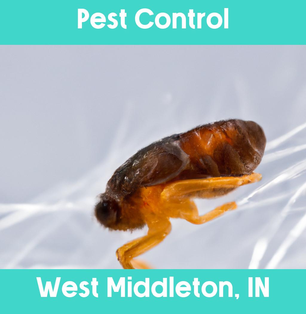 pest control in West Middleton Indiana