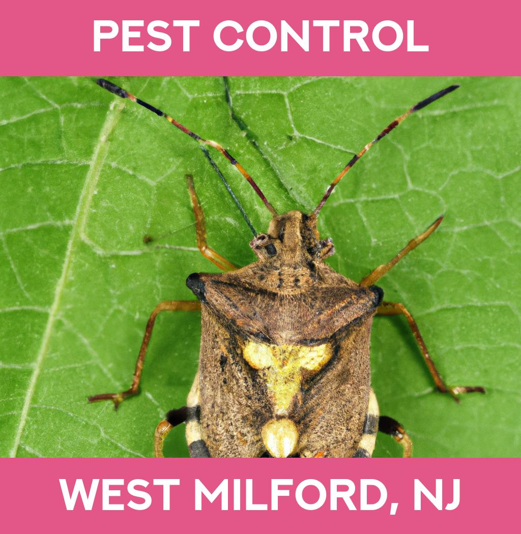 pest control in West Milford New Jersey